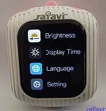 rafavi bluetooth earbud R10 显示界面