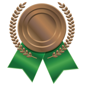 bronze medal