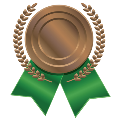 bronze medal