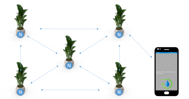 Water Density Mapping For Plants