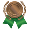 bronze medal